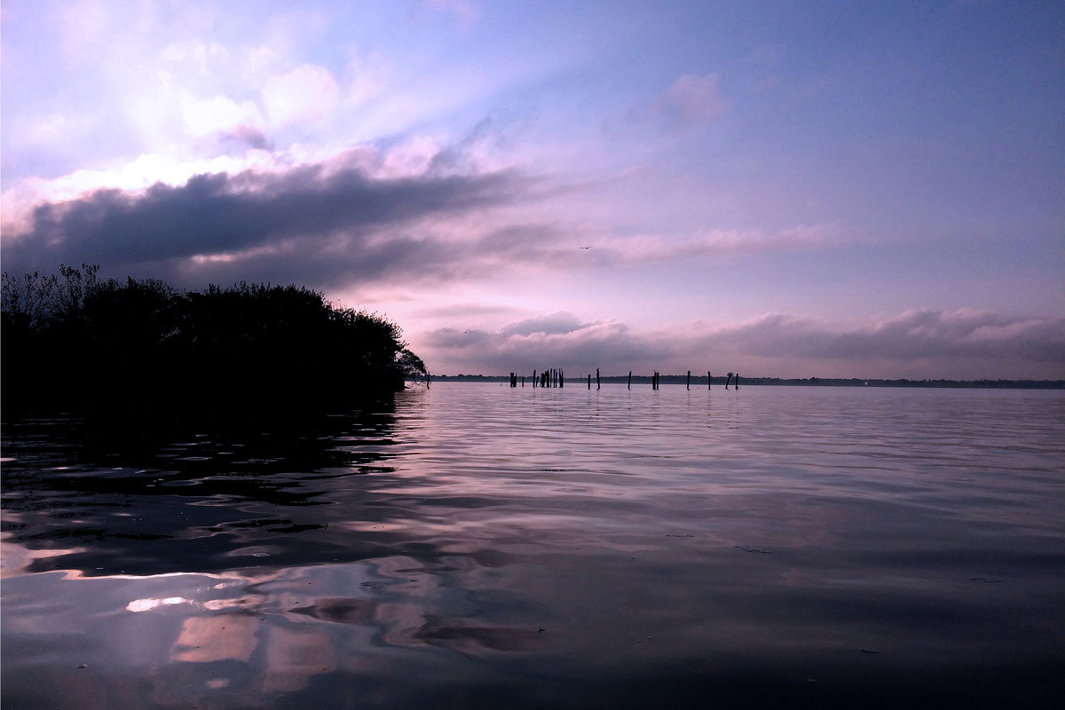 Congress votes to invest $50 Million In Nation’s Estuaries