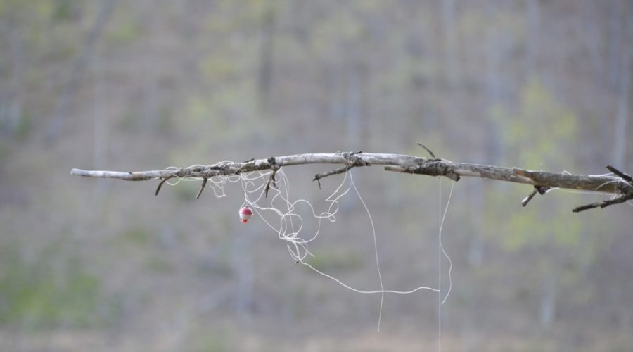 Where to recycle your old fishing line