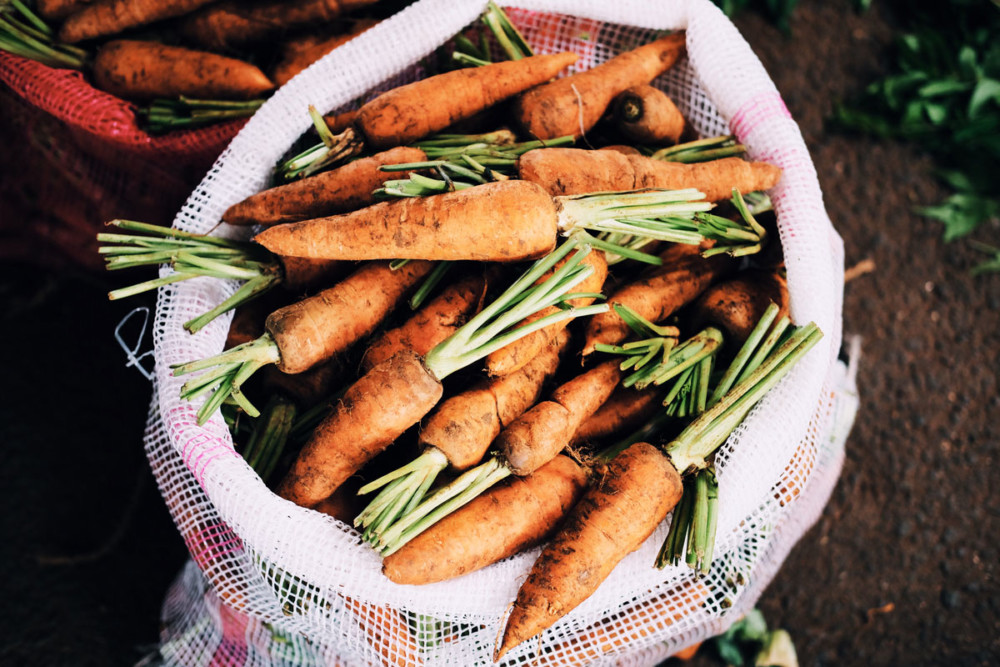 Food, Farming & Philadelphia: Recap
