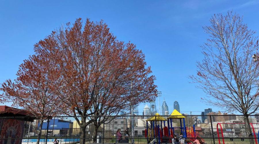 How Philadelphians are innovating with Trees to fight climate change, improve water quality & mental health