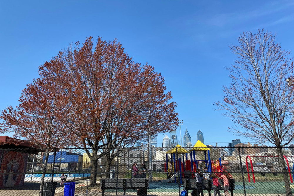 How Philadelphians are innovating with Trees to fight climate change, improve water quality & mental health