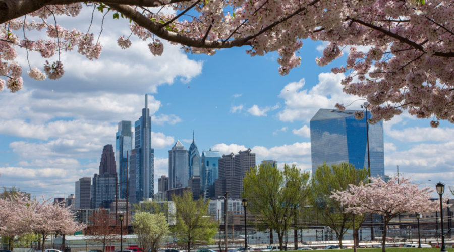 How Philadelphians are innovating with Trees to fight climate change, improve water quality & mental health