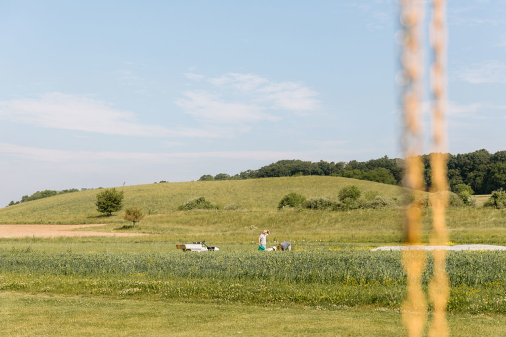 Supporting soil health and organic farming in the Delaware Watershed is a win-win-win for clean water, farmers, and local economies