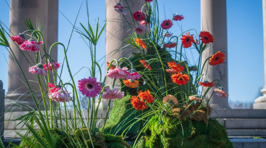 The 2021 Philadelphia Flower Show is coming to FDR Park — here’s what to expect.