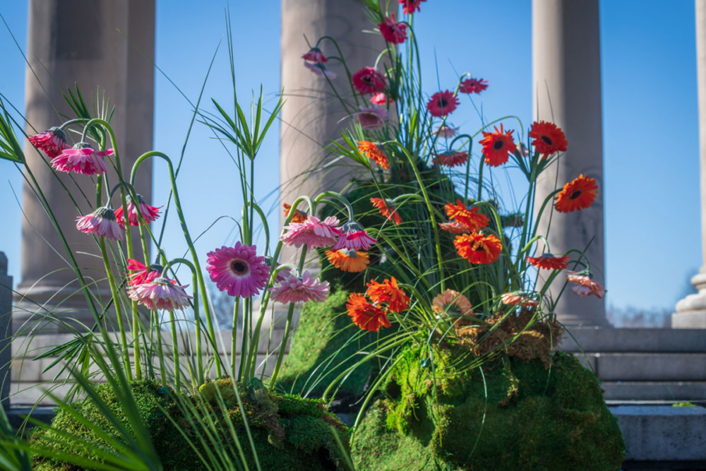 The 2021 Philadelphia Flower Show is coming to FDR Park — here’s what to expect.