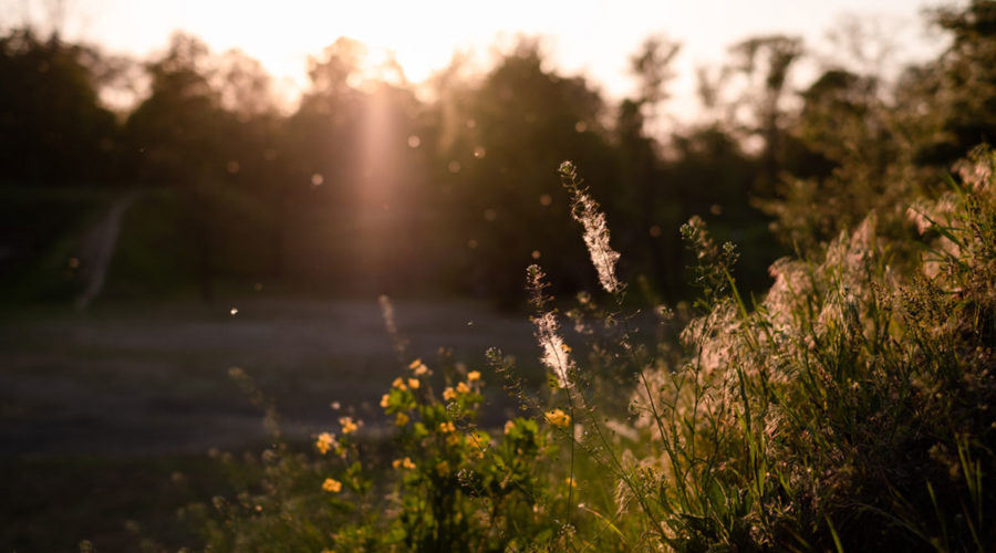 It’s true: You can blame Climate change for making your allergies & asthma worse, Philly.