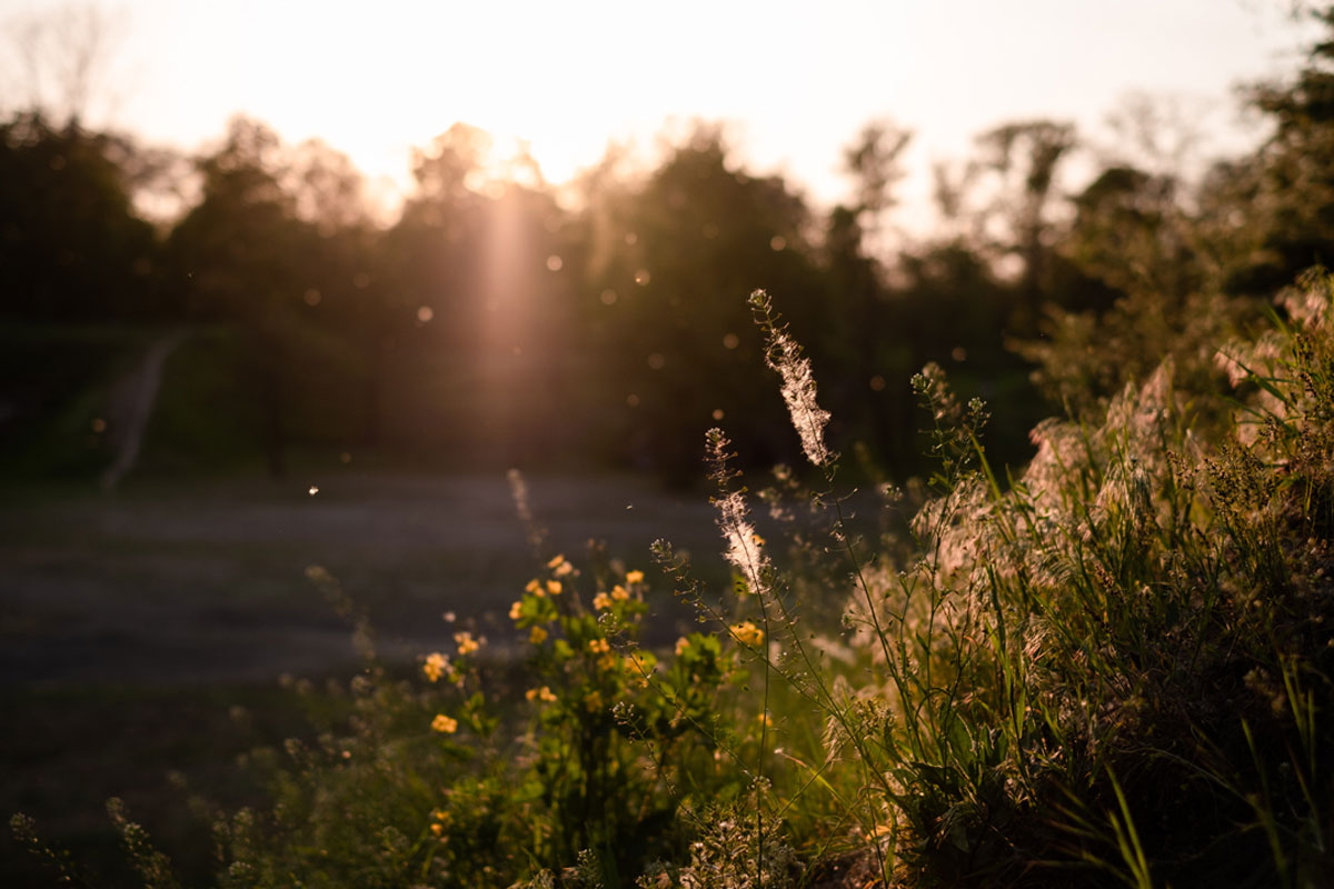 It’s true: You can blame Climate change for making your allergies & asthma worse, Philly.