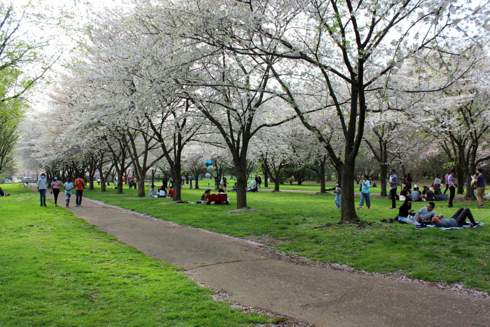 Philly fell back to 19th place for its 2021 ParkScore® due to our park access inequality.