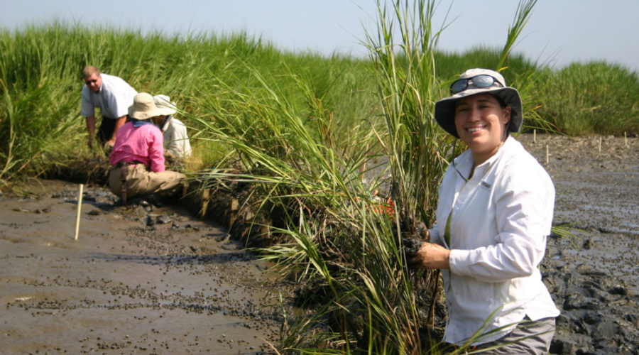 Watershed heroes: Meet Angela Padeletti, Operations Director of the Partnership of the Delaware Estuary