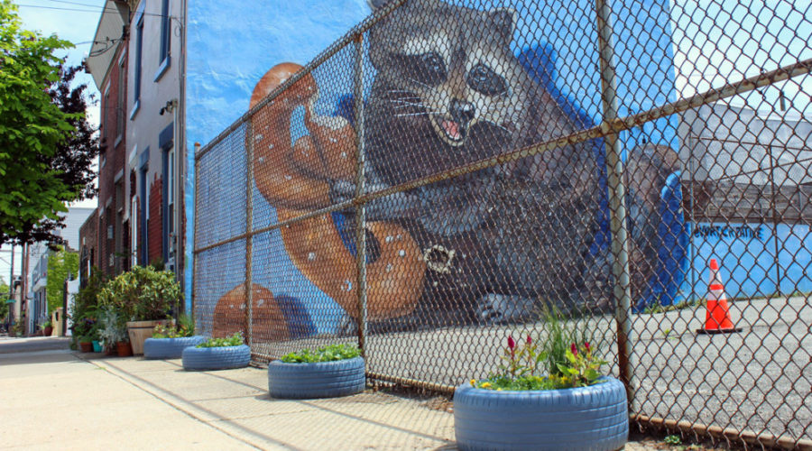One man’s trash, a neighborhood treasure: How one neighbor upcycled pollinator-friendly planters out of litter.