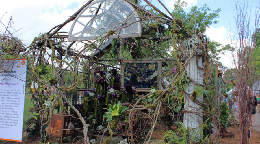 Nature takes over during the 2021 Philadelphia Flower Show