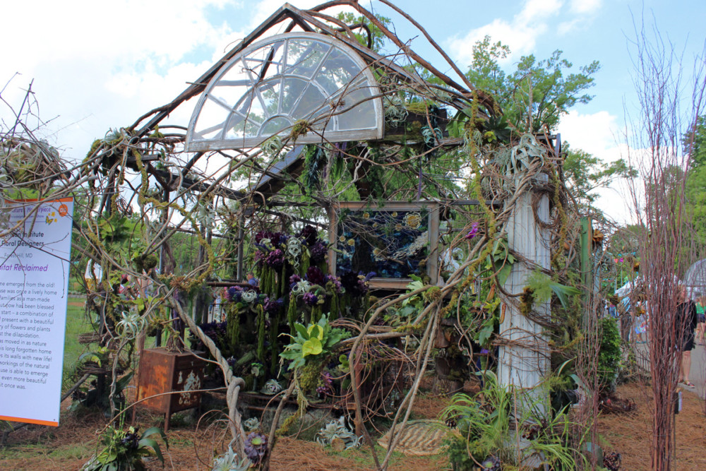 Nature takes over during the 2021 Philadelphia Flower Show