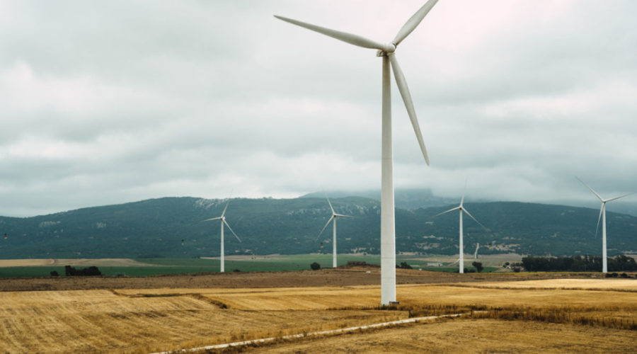 The Energy Co-op announces new Board of Directors