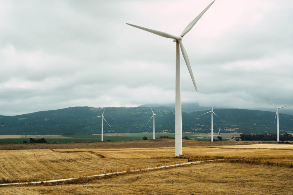 The Energy Co-op announces new Board of Directors