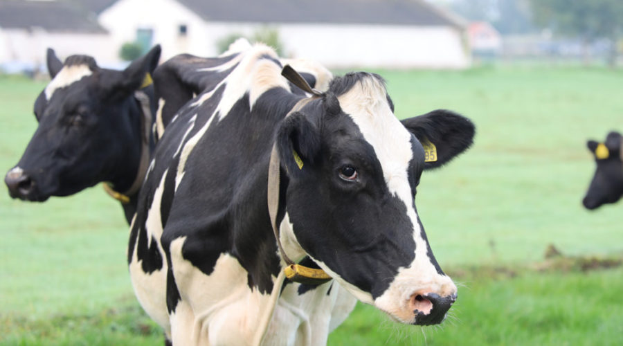 Eco-Explainer: Why Methane Matters