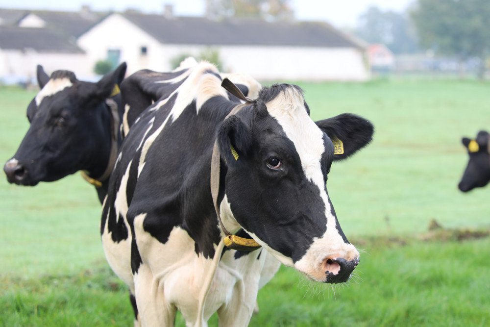 Eco-Explainer: Why Methane Matters