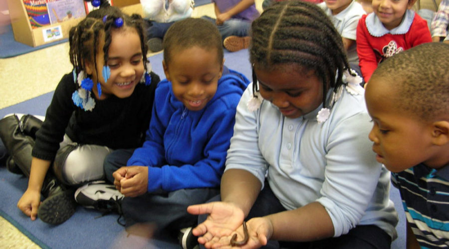 Riverbend brings Philly kids to the classroom, outdoors