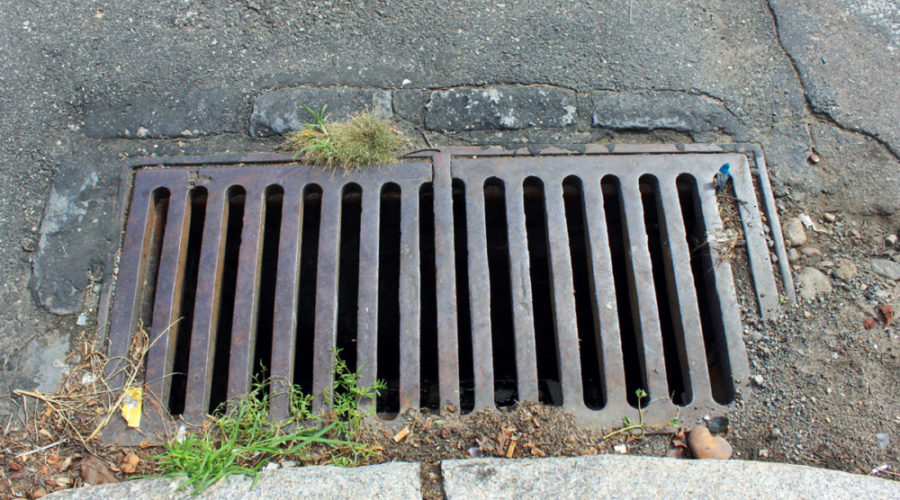 Eco-Explainer: What can go down a storm drain? Short answer – Nothing.