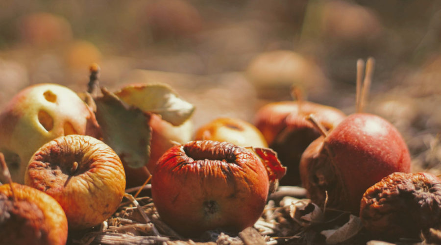 Local restaurants can improve sustainability with Food Waste Business Challenge