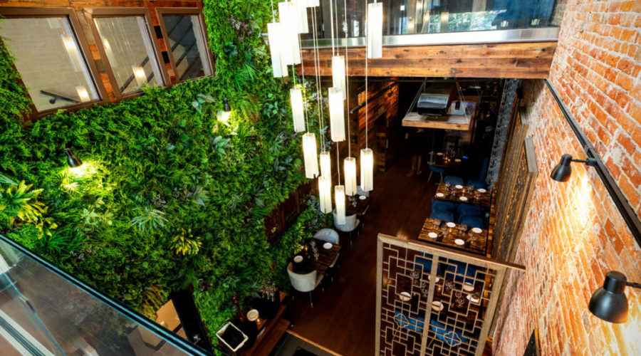 Ancient Spirits & Grille features 50′ Green Wall & organic menu