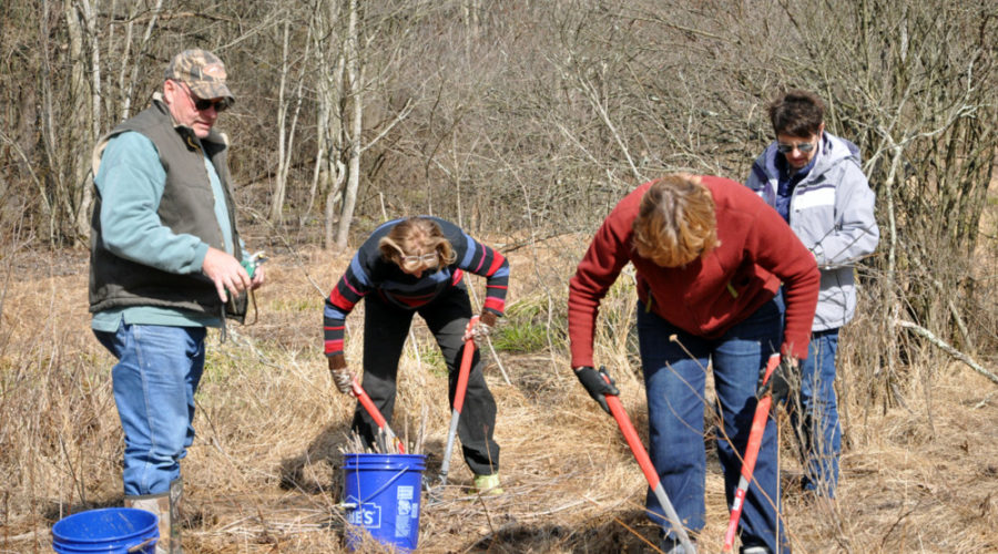 GSI on campus: Bucknell & Susquehanna planted forest buffers