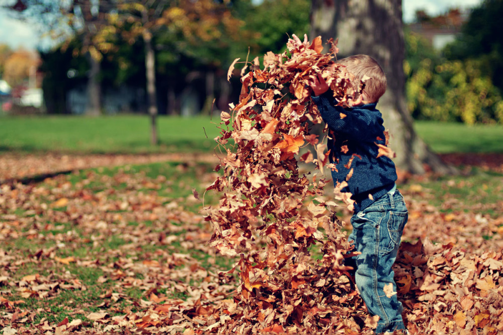 Philadelphia Leaf “recycling” program returns