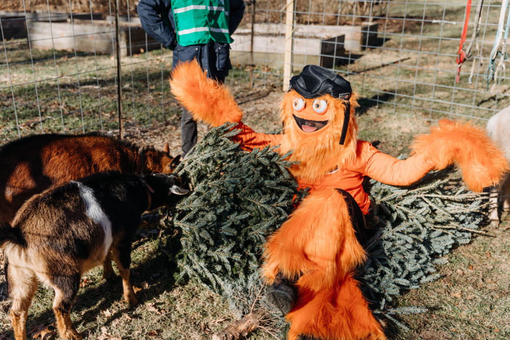 Where to Recycle your Christmas Tree in Philadelphia – 2022 update