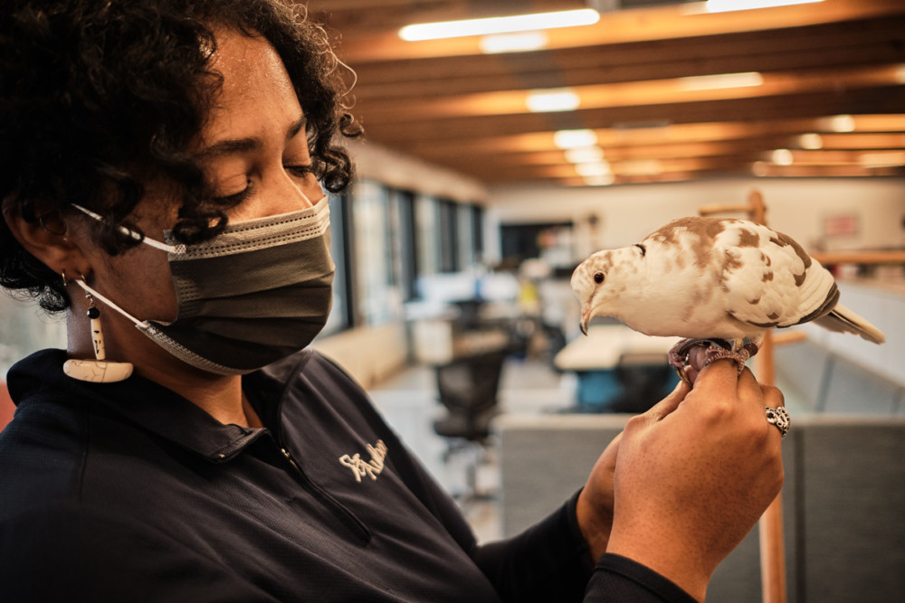 Bria Wimberly holding one of the Discovery Center's office doves. Photo by Alexandre da Veiga