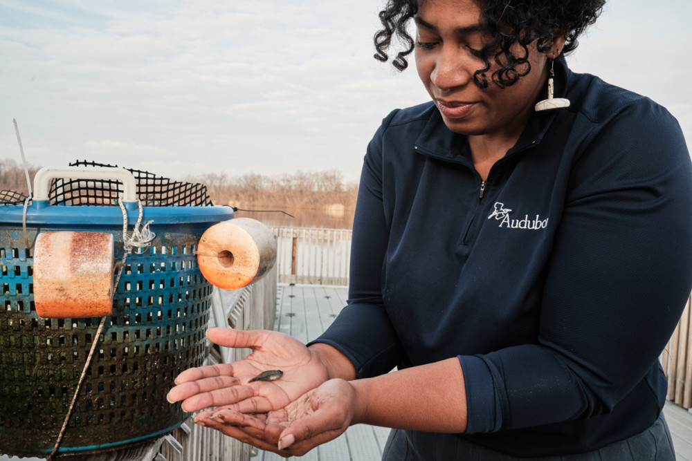 Bria Wimberly mussels Discovery Center Philadelphia
