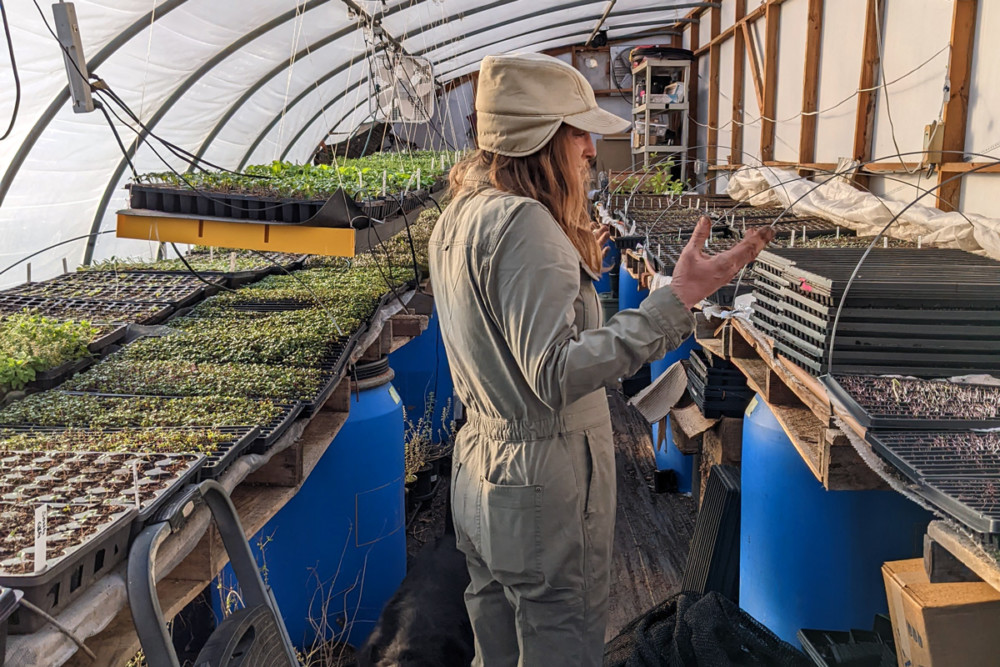 At Germantown Kitchen Garden, organic produce flourishes on a once-abandoned lot