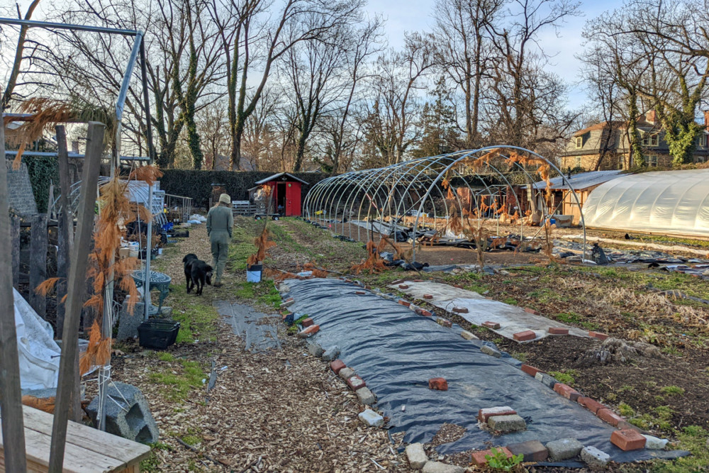 Germantown Kitchen Garden
