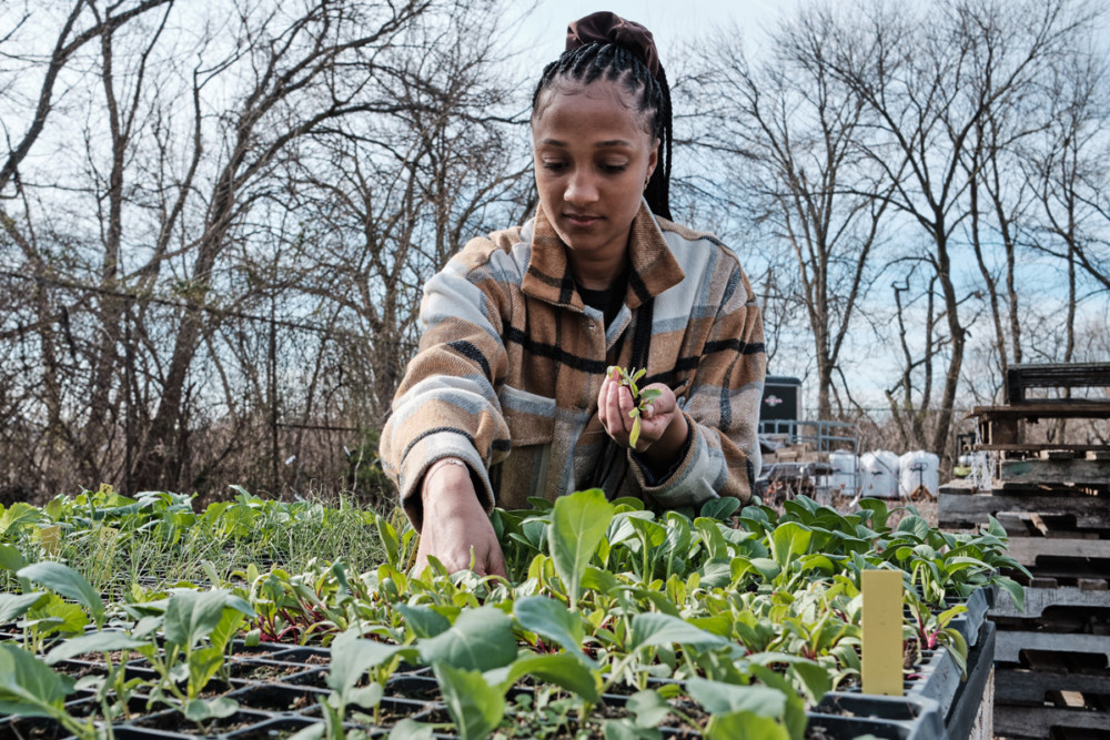 Glover Gardens is bringing food justice to Philly, one garden bed at a time
