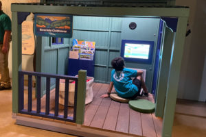 Ocean Bound at the Academy of Natural Sciences