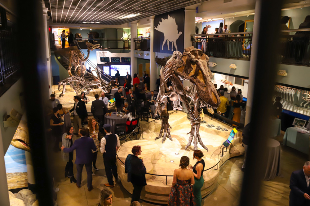 Academy of Natural Sciences