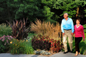 Morris Arboretum