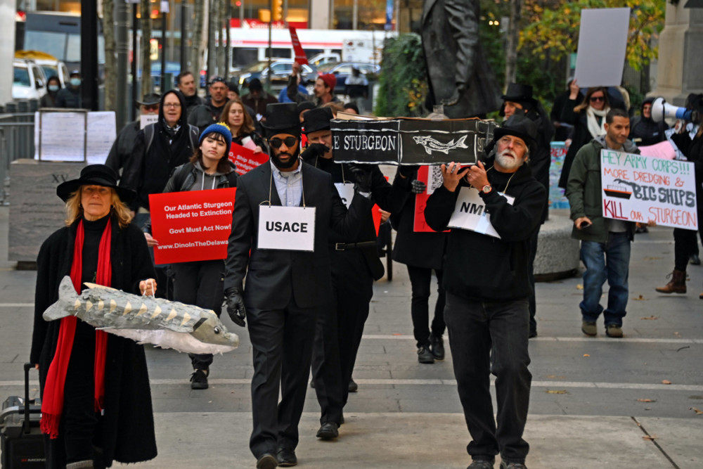 Watershed activists lead march around City Hall for loss of 350,000 Atlantic Sturgeon