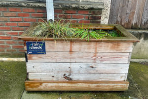 philadelphia rain check planter