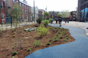 bioswale