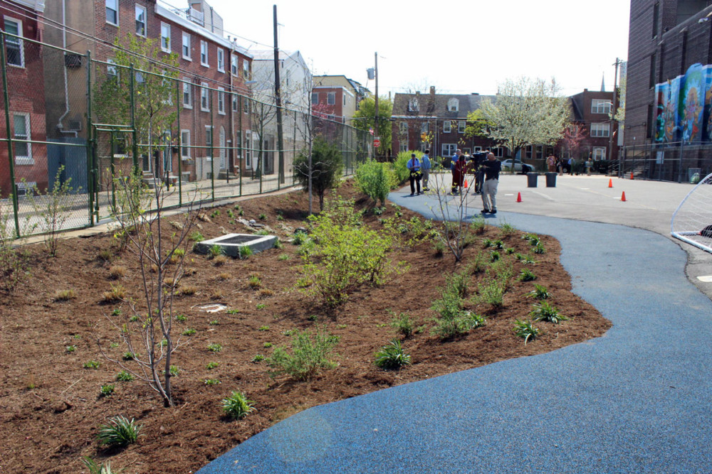 Eco-Explainer: What is a Bioswale?