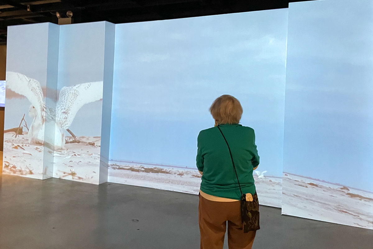 Explore birds on a hyperlocal level at the Academy’s new exhibit