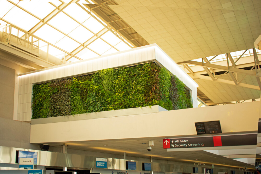 Living walls, Philadelphia Airport