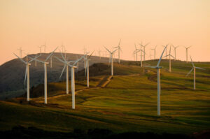 windmills