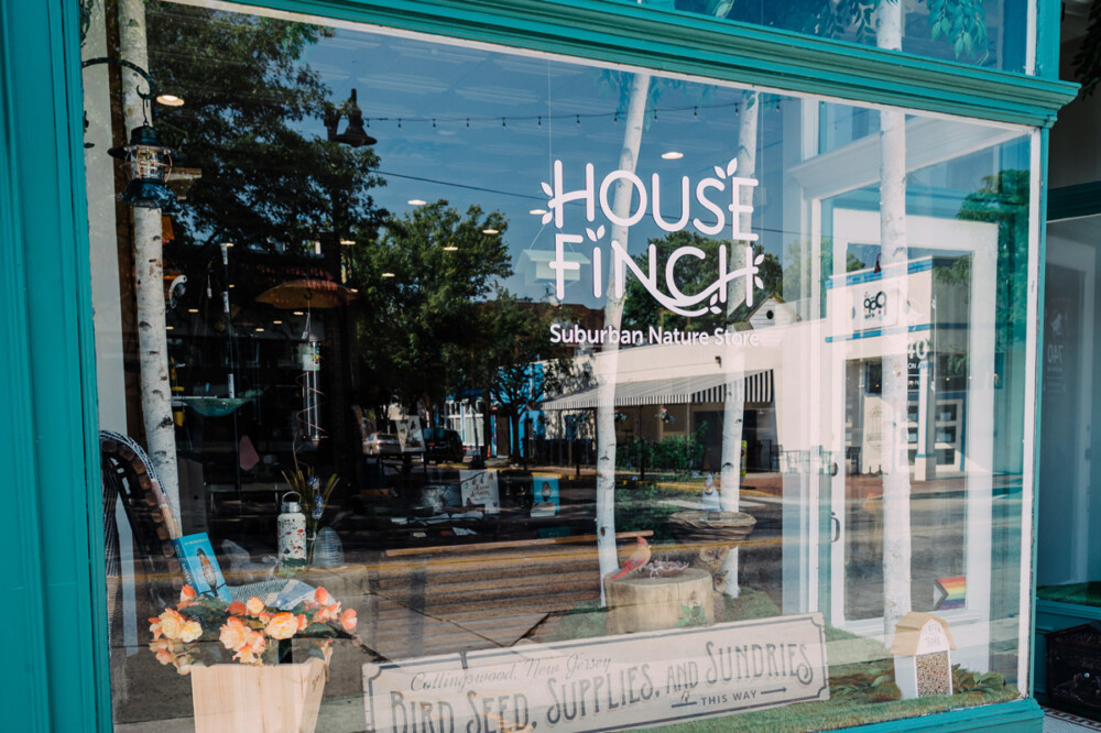 Suburban nature store House Finch aims to make birding more sustainable
