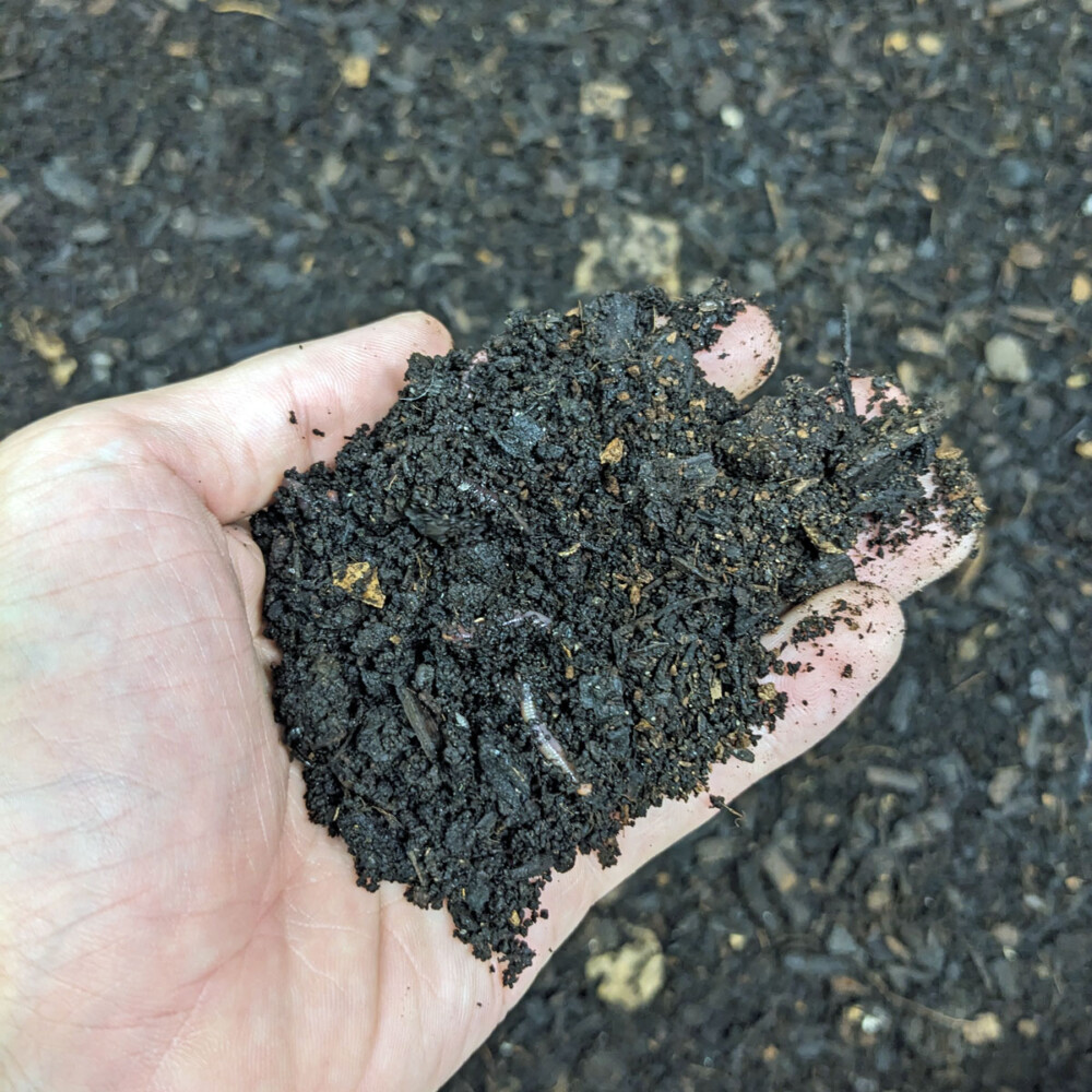 compost