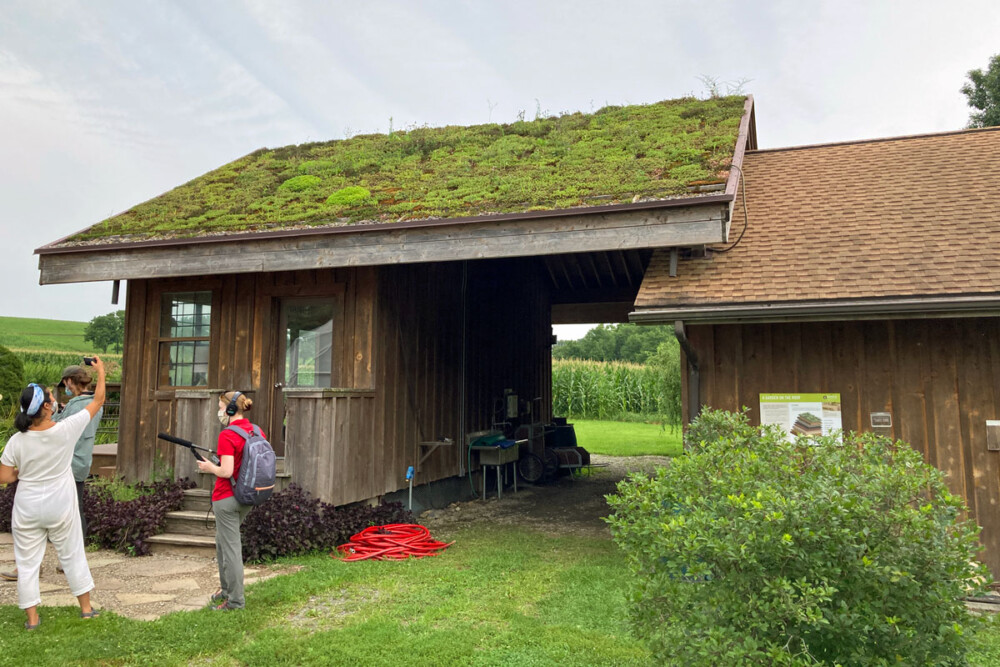 Eco-explainer: What is a green roof?