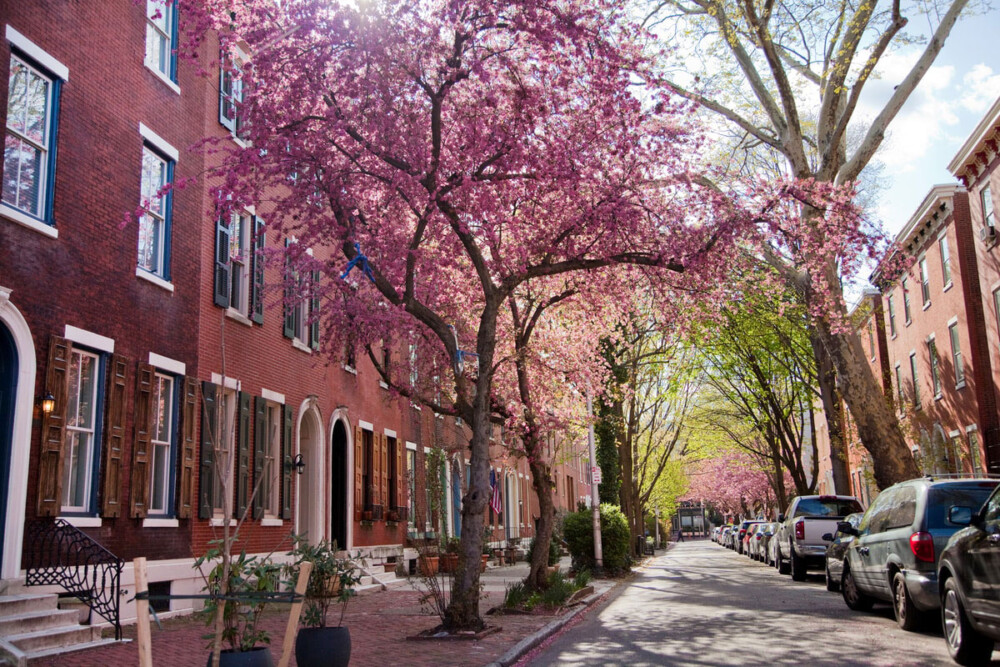 Get $500 to beautify your block