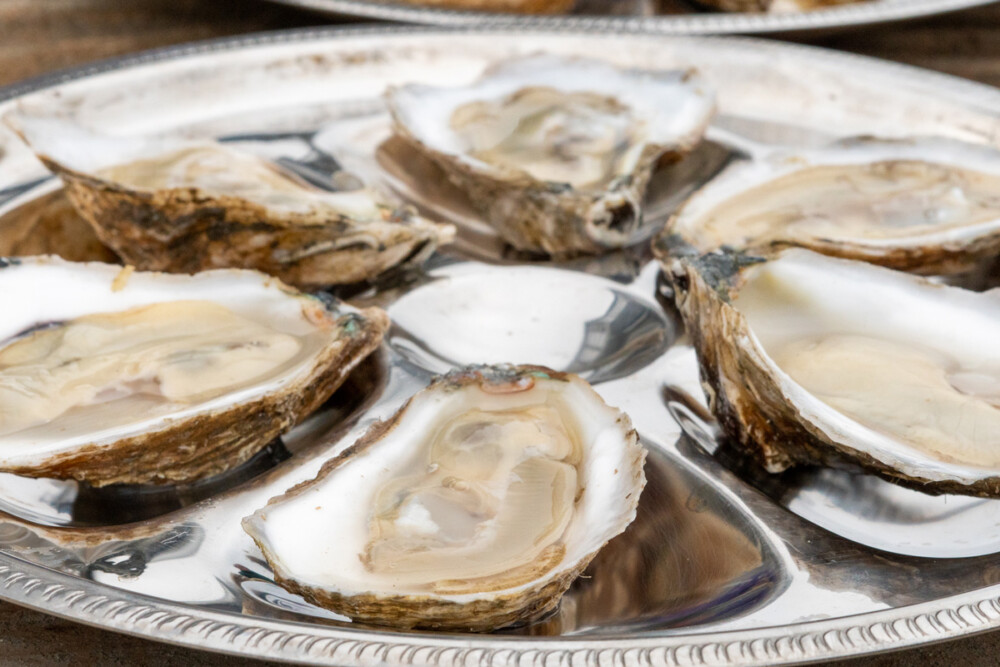 Barnegat Oyster Collective looks to build the future of sustainable shellfish in New Jersey