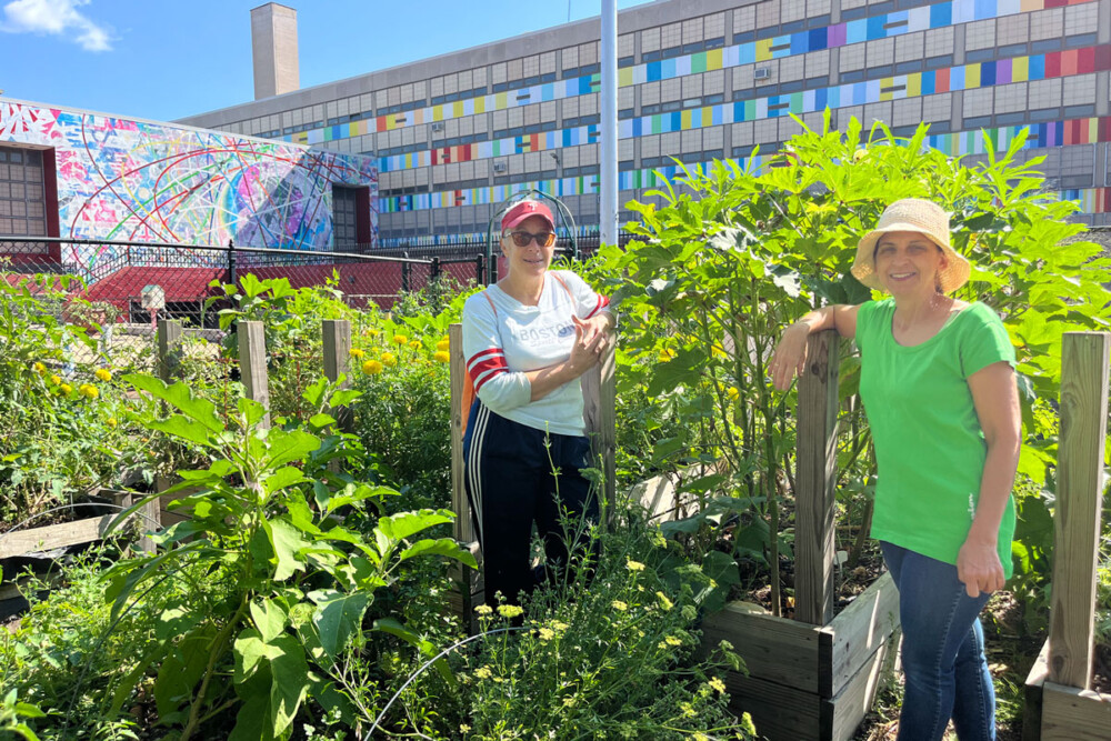 Feeding the Soul and the Community: Lower Moyamensing’s Urban Oasis